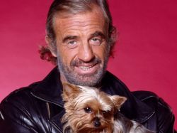 Фото №1 Жан-Поль Бельмондо