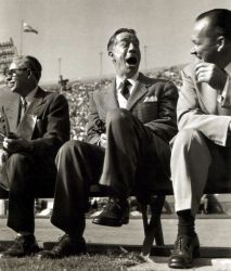 Фото №1 Джо Э. Браун