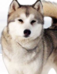 Фото №1 Кода