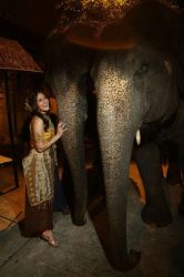 Фото №1 Скаут Тэйлор-Комптон